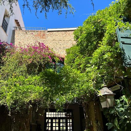 Le Cedre 1830 Maison D'Hotes De Charme Et Spa Saint-Feliu-d'Avall Exteriér fotografie